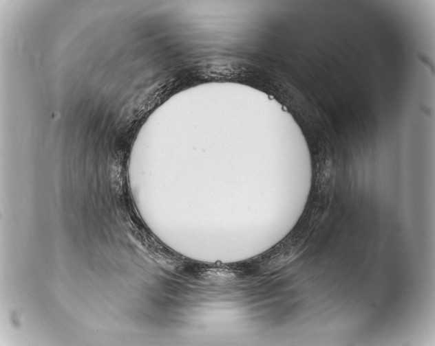 X0000103930749200810031258