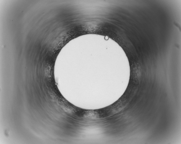 X0000103930750200810031258