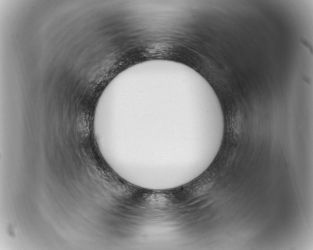 X0000103930751200810031258