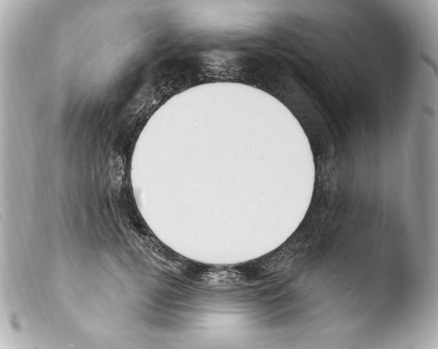 X0000103930752200810031258