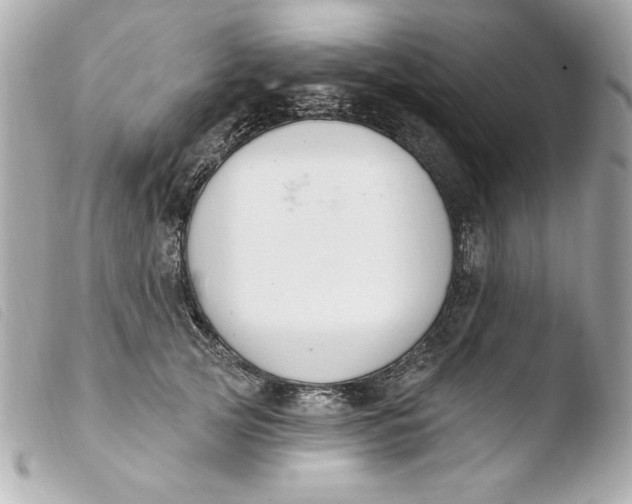 X0000103930753200810031258