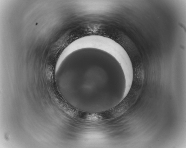 X0000103930754200810031258