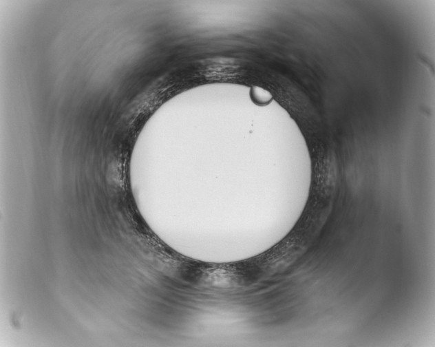 X0000103930755200810031258