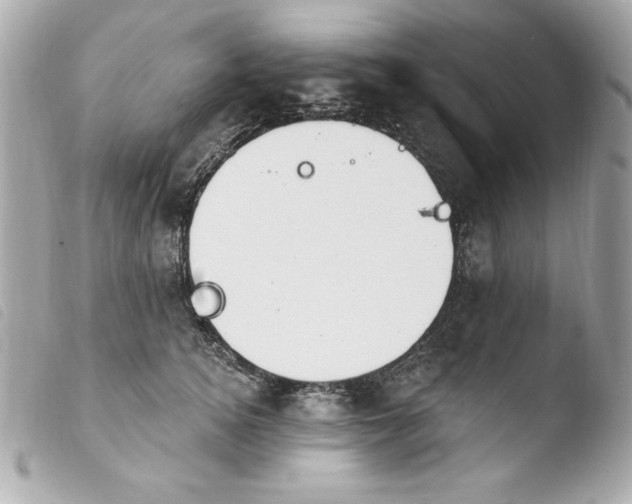 X0000103930756200810031258