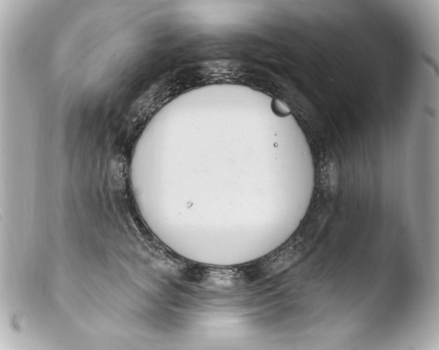X0000103930757200810031258