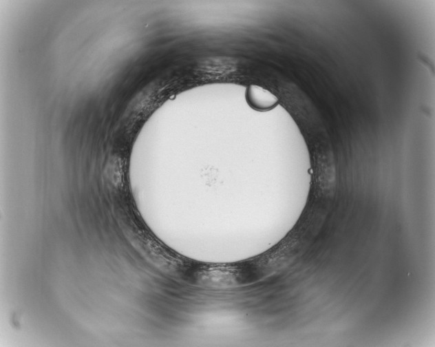 X0000103930758200810031258