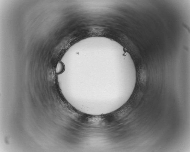 X0000103930759200810031258