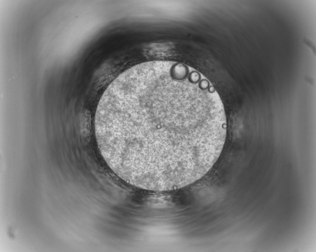 X0000103930760200810031258