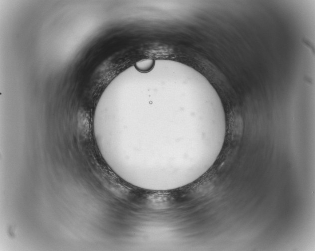 X0000103930761200810031258
