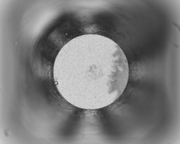 X0000103930762200810031258