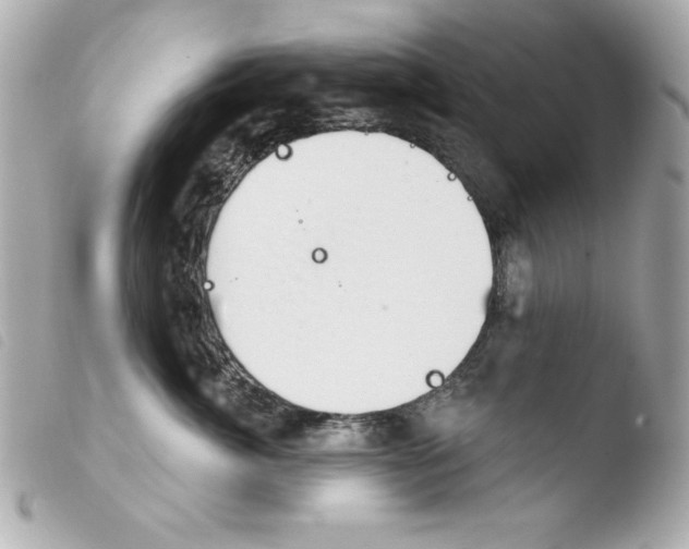 X0000103930764200810031258