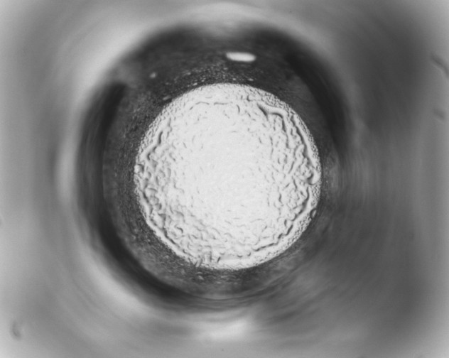 X0000103930765200810031258