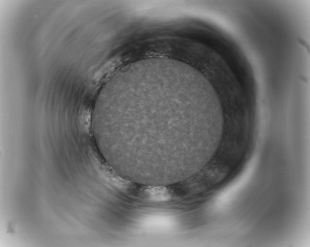 X0000103930767200810031258