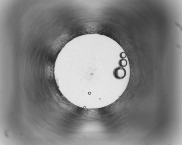 X0000103930768200810031259