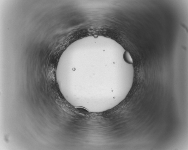 X0000103930770200810031258