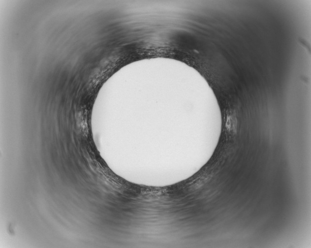 X0000103930771200810031258