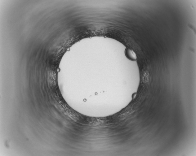 X0000103930772200810031258