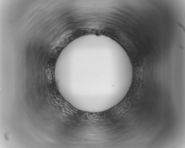 X0000103930774200810031258