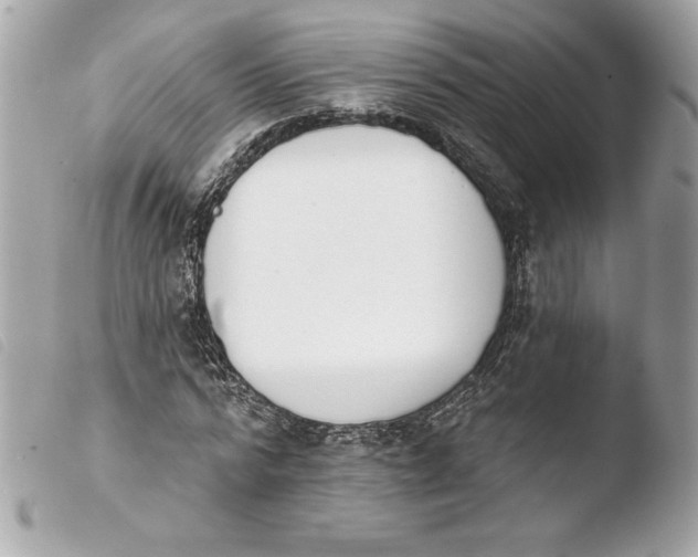 X0000103930776200810031258