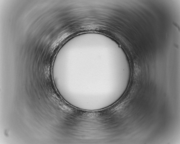 X0000103930778200810031258