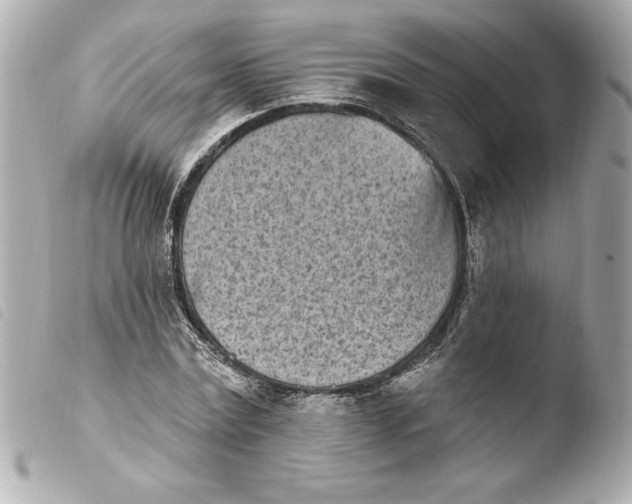 X0000103930779200810031258