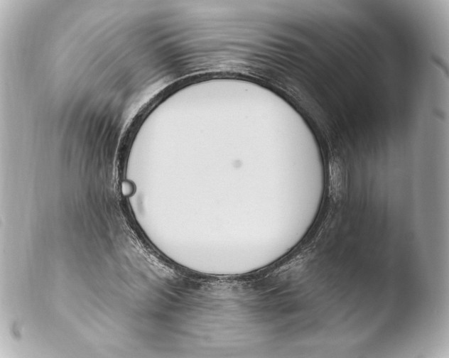 X0000103930780200810031258