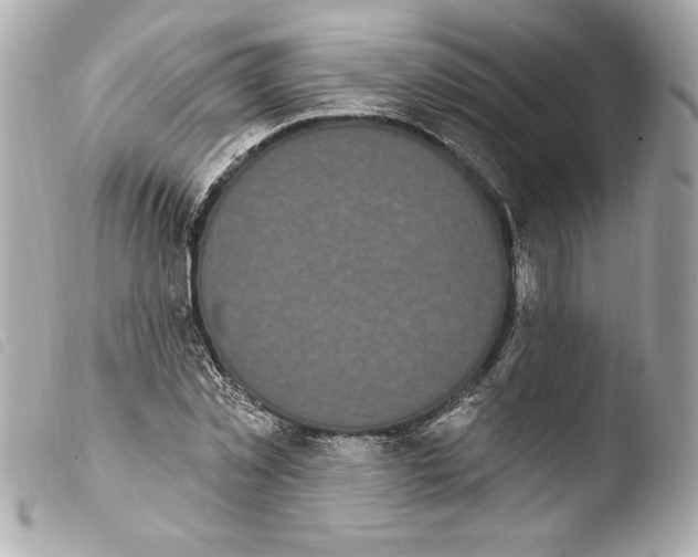 X0000103930781200810031258