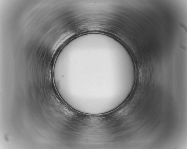 X0000103930782200810031258