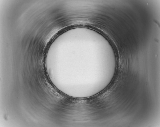 X0000103930783200810031258