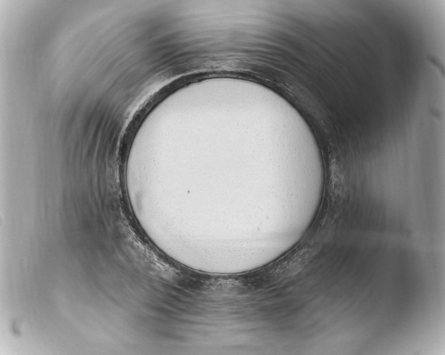 X0000103930784200810031258