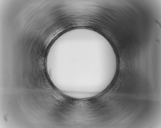X0000103930786200810031258