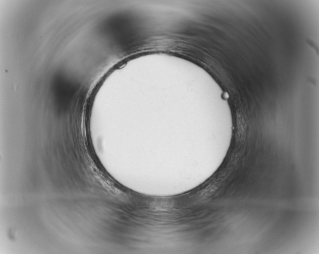 X0000103930788200810031258