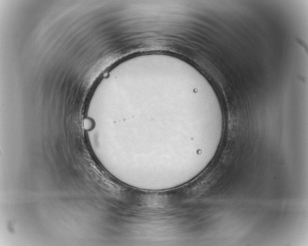X0000103930789200810031258
