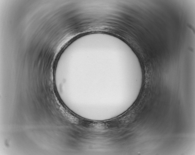 X0000103930792200810031258