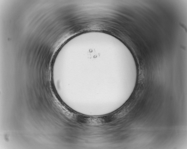 X0000103930795200810031257