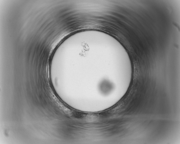 X0000103930796200810031257