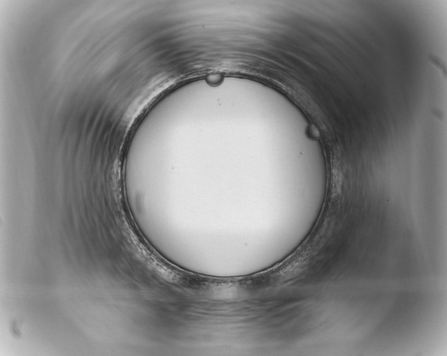 X0000103930798200810031257