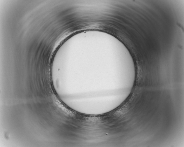 X0000103930800200810031257