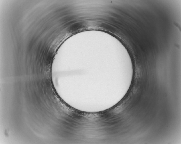 X0000103930801200810031257