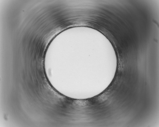 X0000103930805200810031257