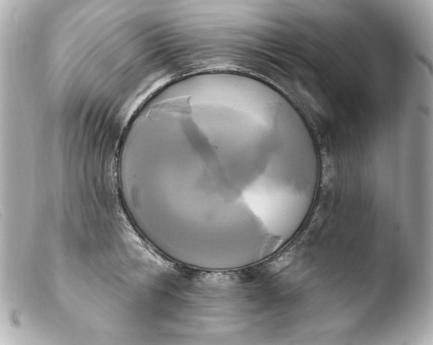 X0000103930806200810031257