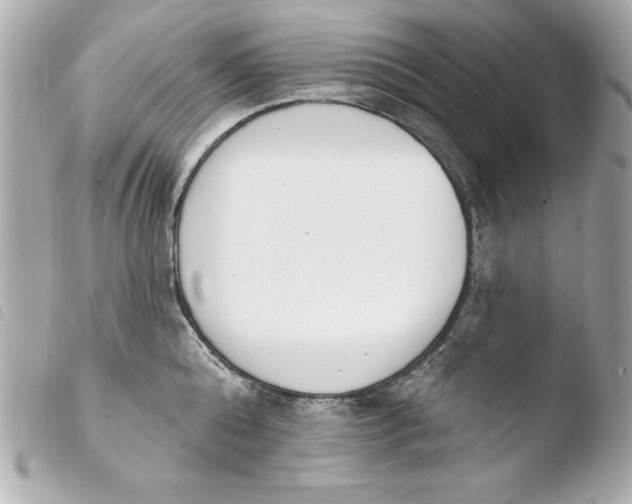 X0000103930808200810031257