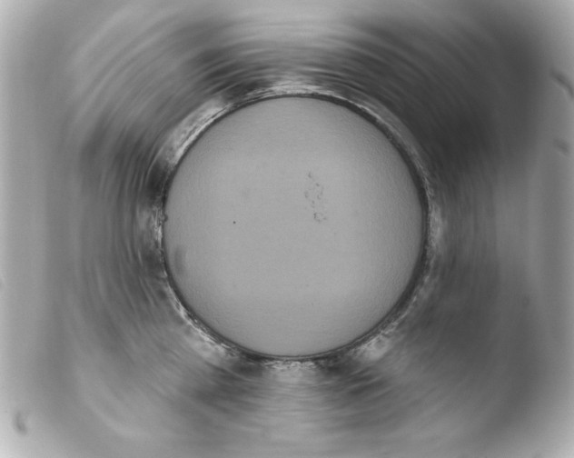 X0000103930809200810031257