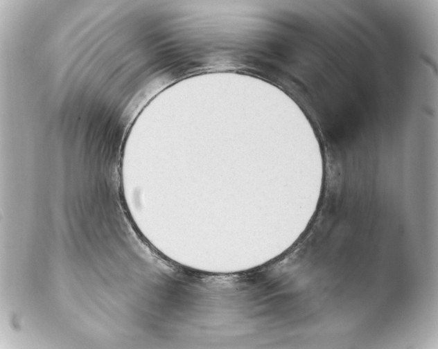 X0000103930810200810031257