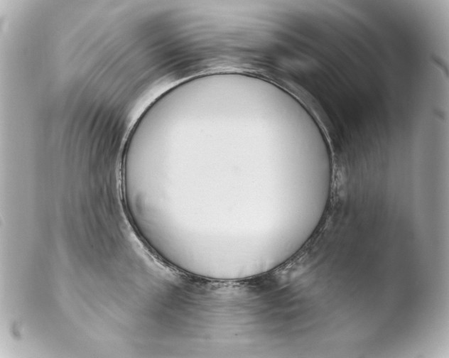 X0000103930811200810031257