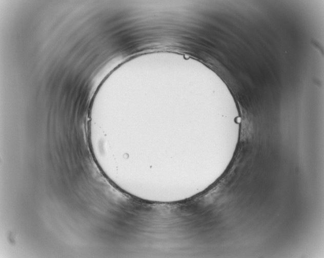 X0000103930812200810031257