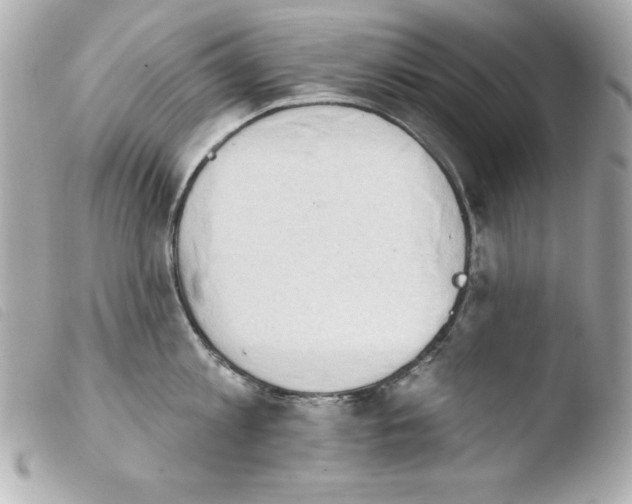 X0000103930813200810031257