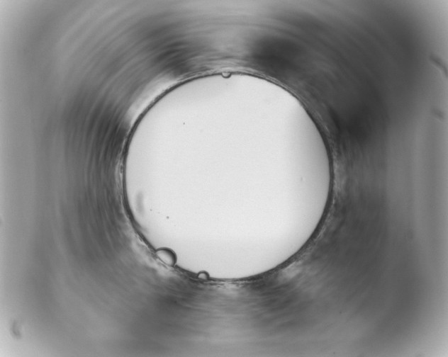 X0000103930814200810031257