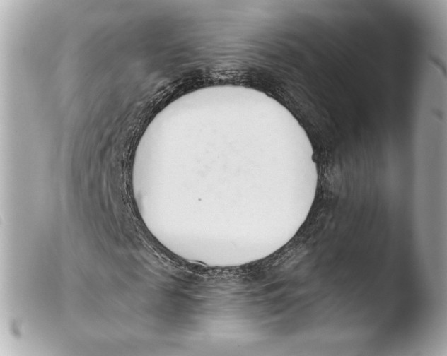 X0000103930817200810031257