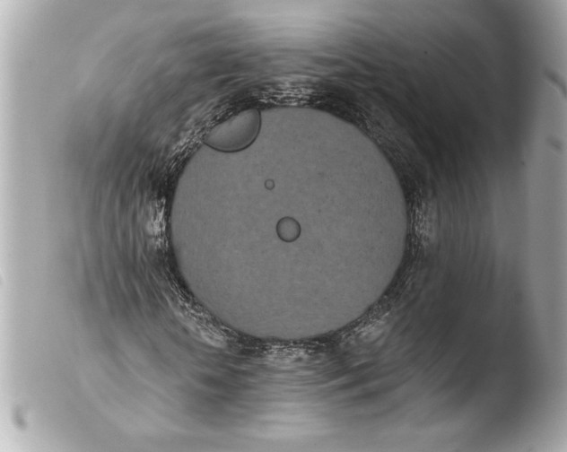 X0000103930818200810031257